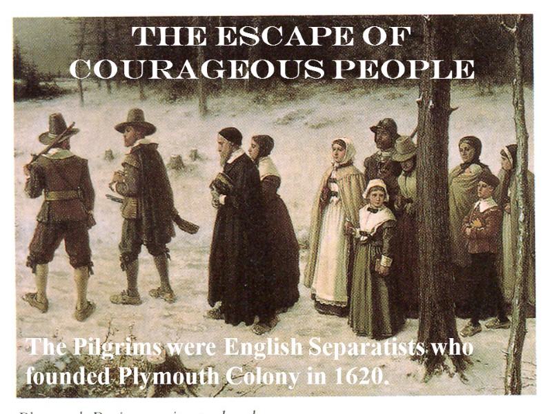 The Escape of Courageous People The Pilgrims were English Separatists who founded Plymouth Colony